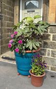  XXL Tree Pot Turquoise Green 